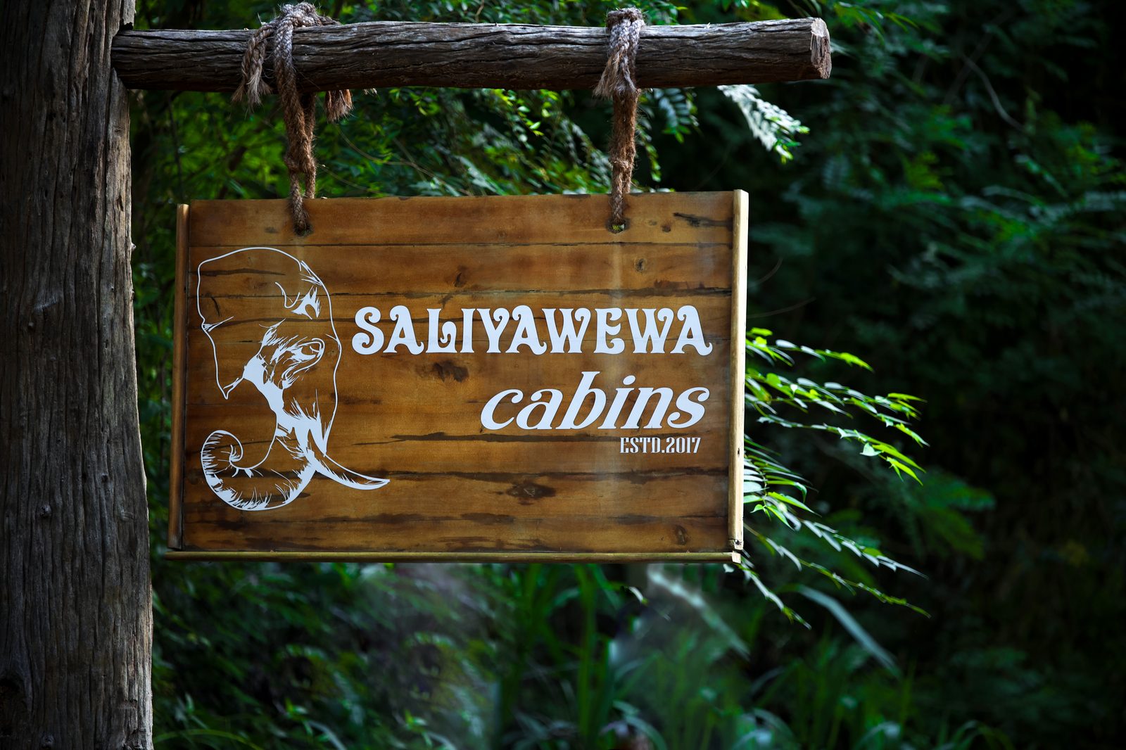 Saliyawewa Cabins entrance signboard