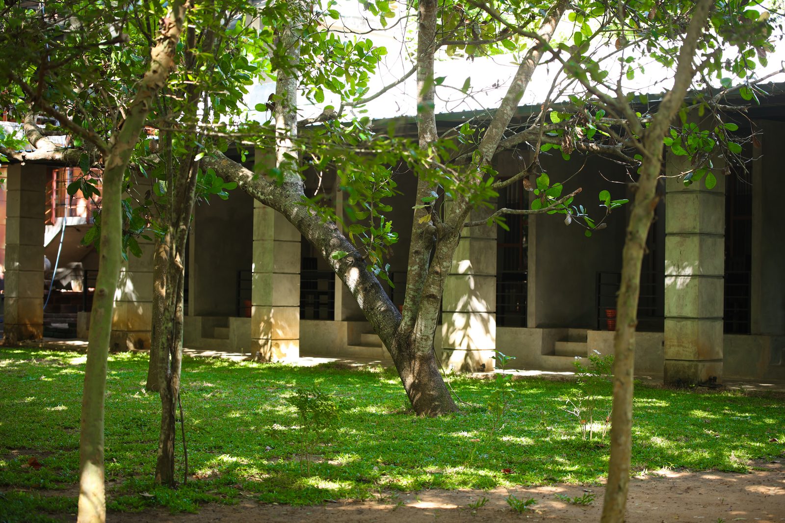 Garden lawn at the property