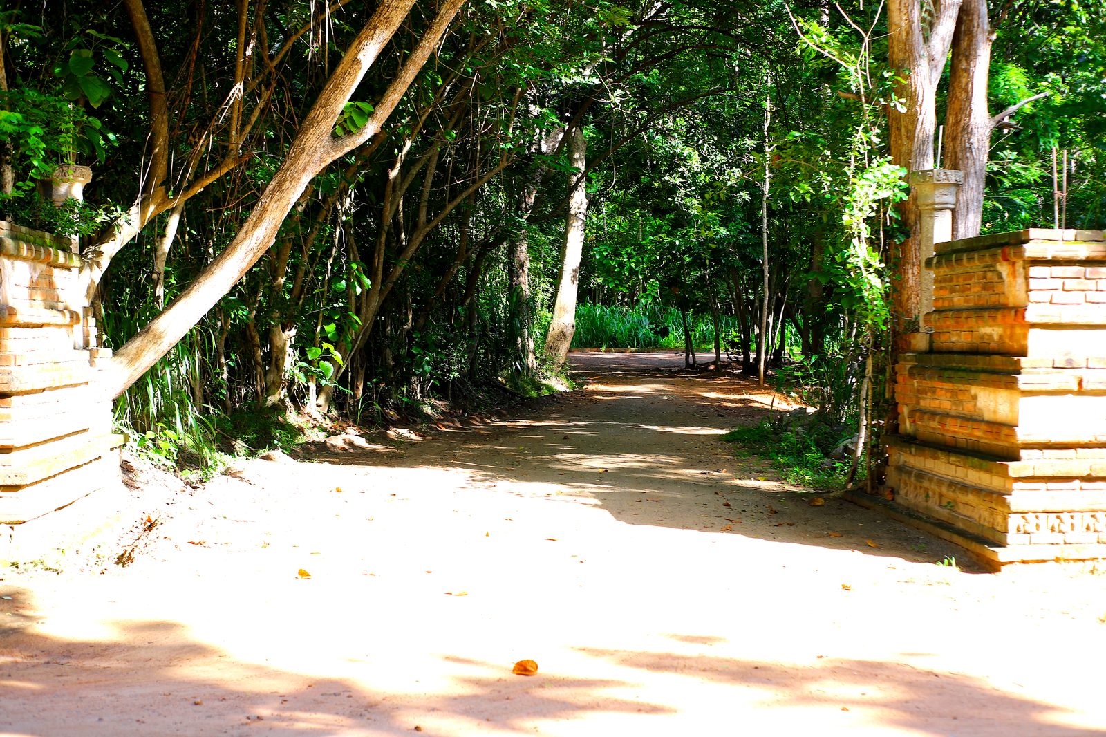 Quiet forest path through the grounds